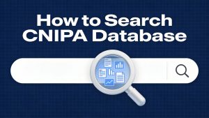 How to Search the CNIPA Trademark Database: A Complete Guide for Foreign Applicants